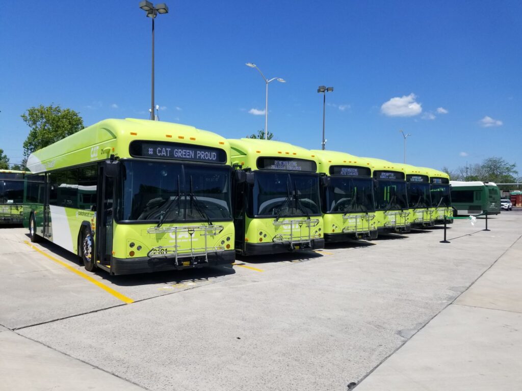 chatham area transit st patricks day